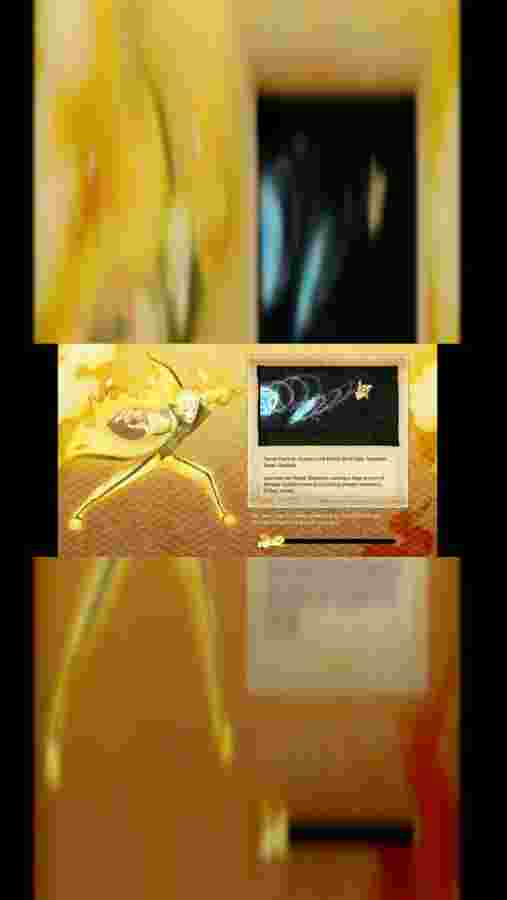 mobile.jpeg